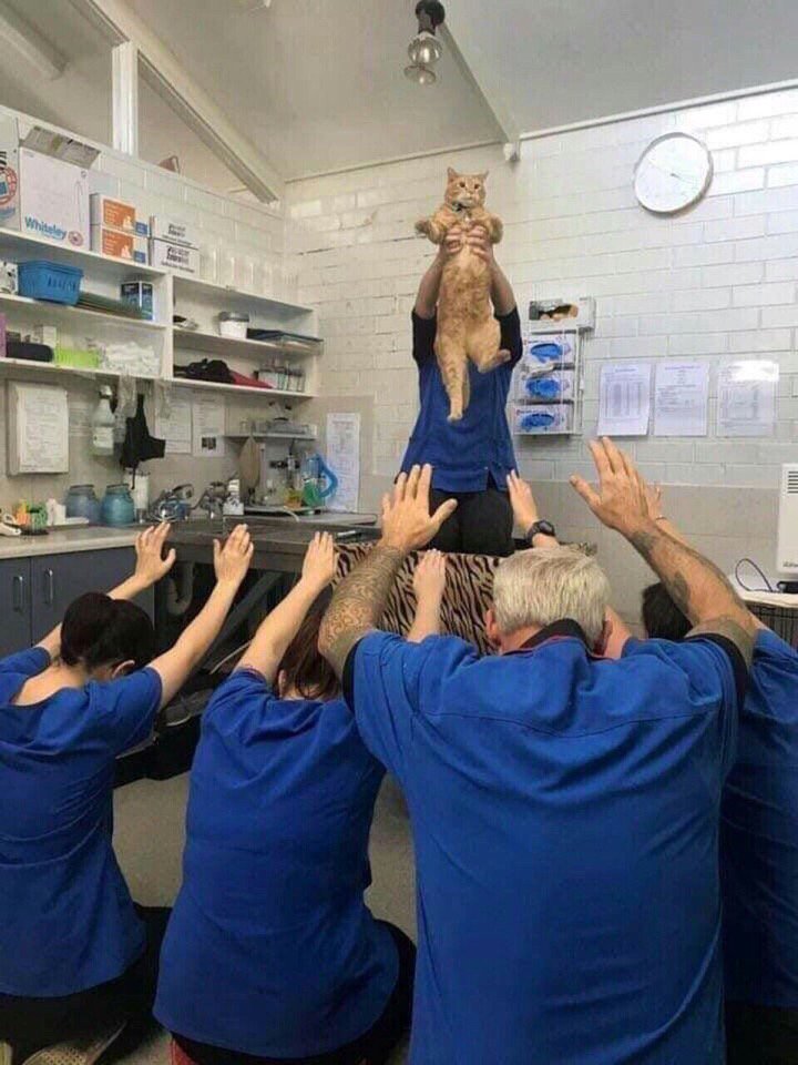 tvoyalirika's tweet photo. Религия, в которой я заинтересован. https://t.co/WUUKKV0K5o