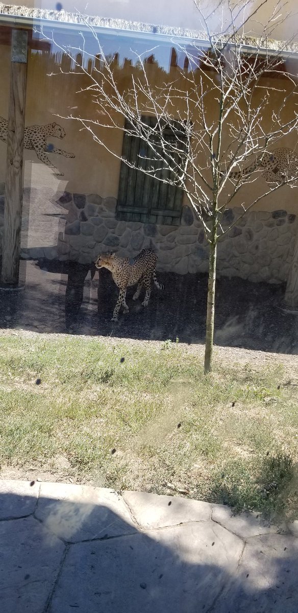 KnottsKaylan's tweet photo. We went to columbus zoo today https://t.co/I08A2yvcqC