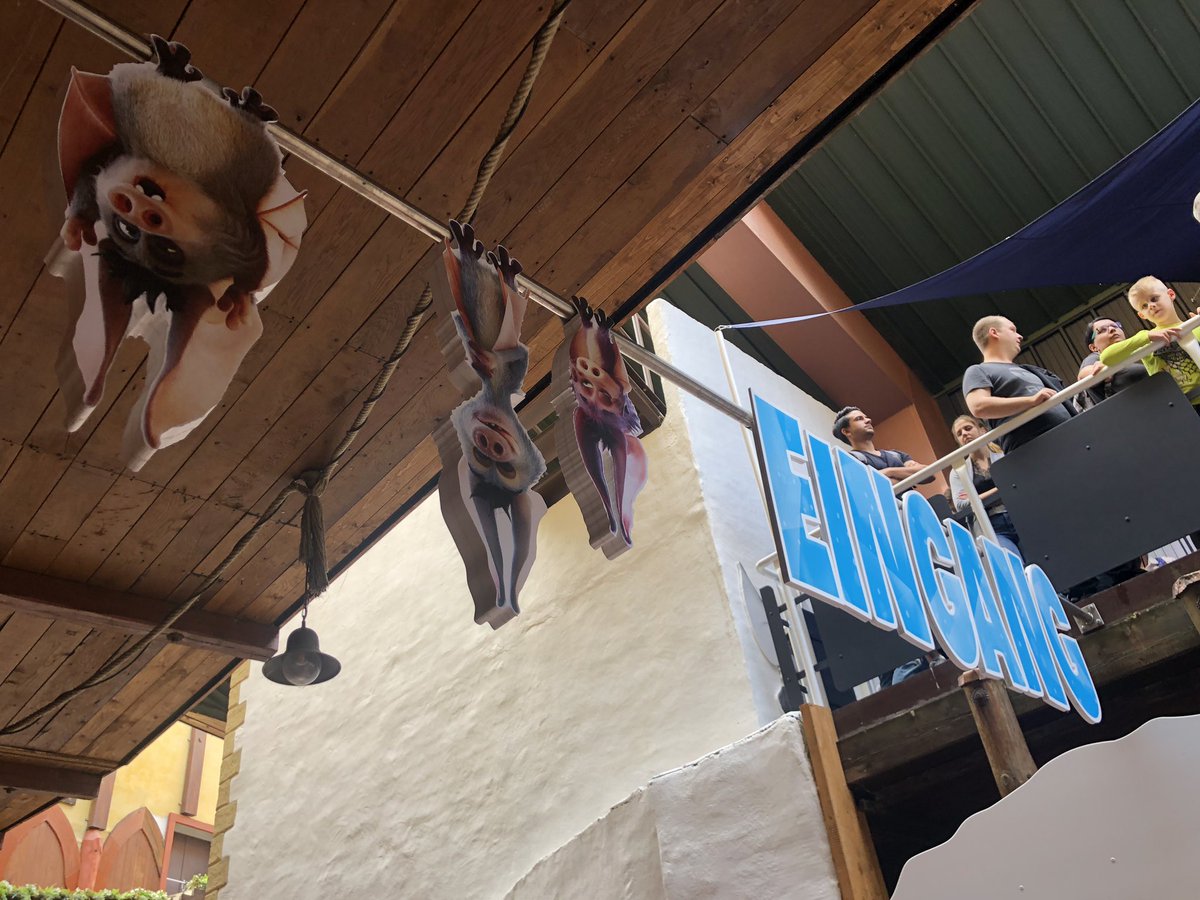 KevinWeijden's tweet photo. #Crazybats in @PhantasialandNL heeft mij echt verrast! Van te voren had ik er geen hoge verwachtingen van maar wat een toffe ride is het geworden. Onwijs hoge qualiteit film en erg boeiend! Dit komt alleen maar ten goede van TOTNH!
Minpuntje: bril drukt onwijs op de neus. https://t.co/jT9nPBWZO9