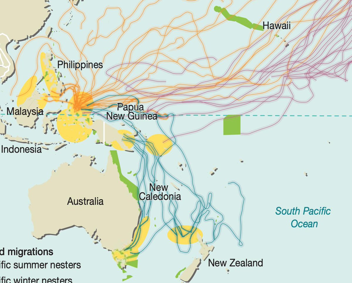 ..or maybe currents? temperature? migratory routes of turtles? there is so much happening. and of course it's not rendered, because google maps is not how you navigate the pacific! but without this shown in any way, it's so easy to forget that the ocean is more than a blue blob.