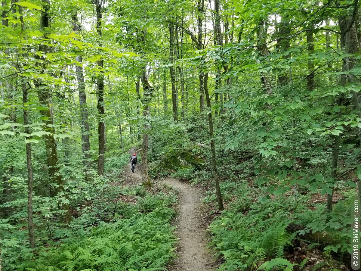 skimaven's tweet photo. Surrounded by green in the Green Mountain National Forest.
#vmba #mtbvt #mtb #greenmountains #mountainbiking #vermont #mrv #madrivervalley https://t.co/7WmhVfWgYR