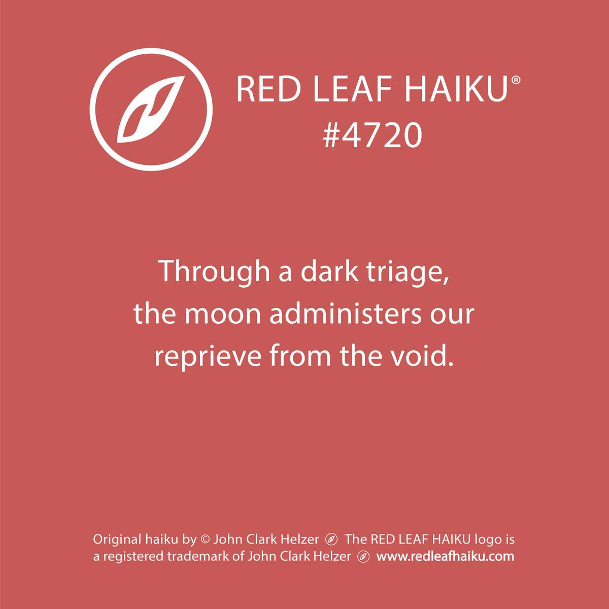 redleafhaiku's tweet photo. Through a dark triage, 
the moon administers our 
reprieve from the void. 
🍁 Red Leaf Haiku by © John Clark Helzer 
#redleafhaiku #haiku #poetry #poem #dark #triage #moon #reprieve #void https://t.co/l5PGkX8CbZ
