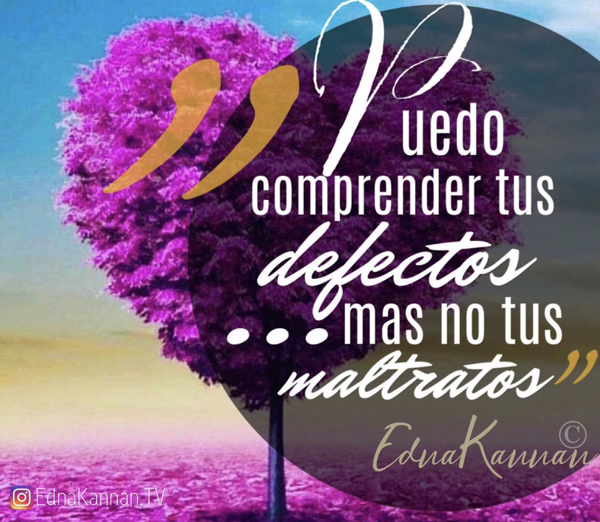 EdnaKannan's tweet photo. 🥀Edna ¿Debo perdonar?, ¿debo ceder?, retirarme, o ¿continuar?
El secreto para ser #feliz es #vivir en paz..¡Tú naciste sólo para ser amada!, mimada,¡abrazada! ¿lo sabes verdad?🙏🏻
Date permiso HOY de alejarte del #maltrato .Hay una INMENSA diferencia entre “defecto y  “maltrato” https://t.co/fCCdnAzbDc