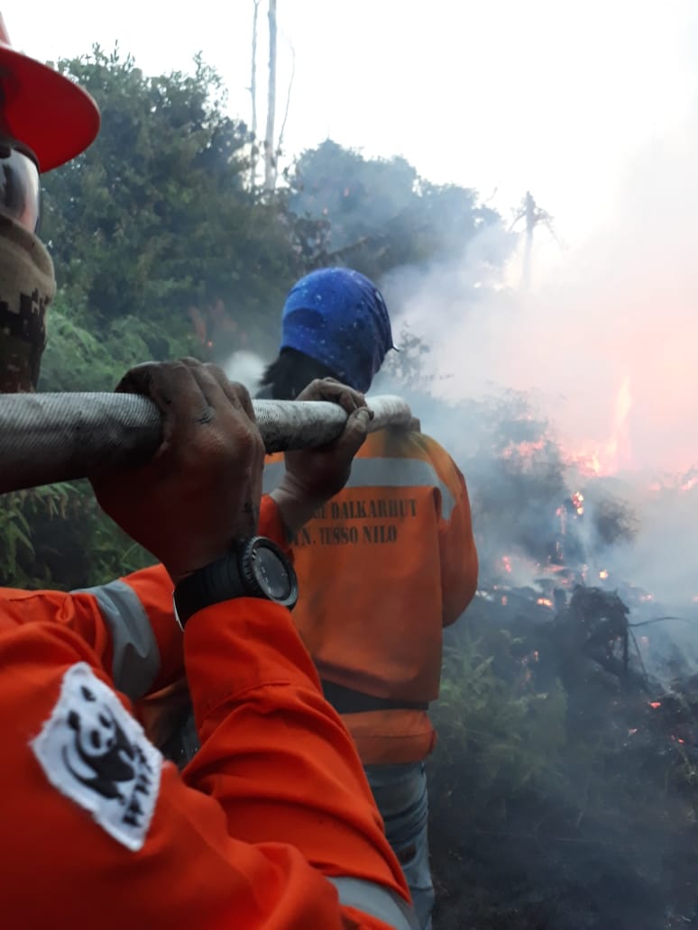 WWFID_CEO's tweet image. Selamat Hari Raya Idul Adha 1440 H. Semoga momen ini pererat rasa persaudaraan kita 😇

Di tengah suasana lebaran ini, kita jg perlu ingat &amp;amp;dukung pengorbanan rekan2 yg sdg berjuang padamkan kobaran api karhutla🙏

#IdulAdha #wwfid #Connect2Earth #NatureMatters #TogetherPossible