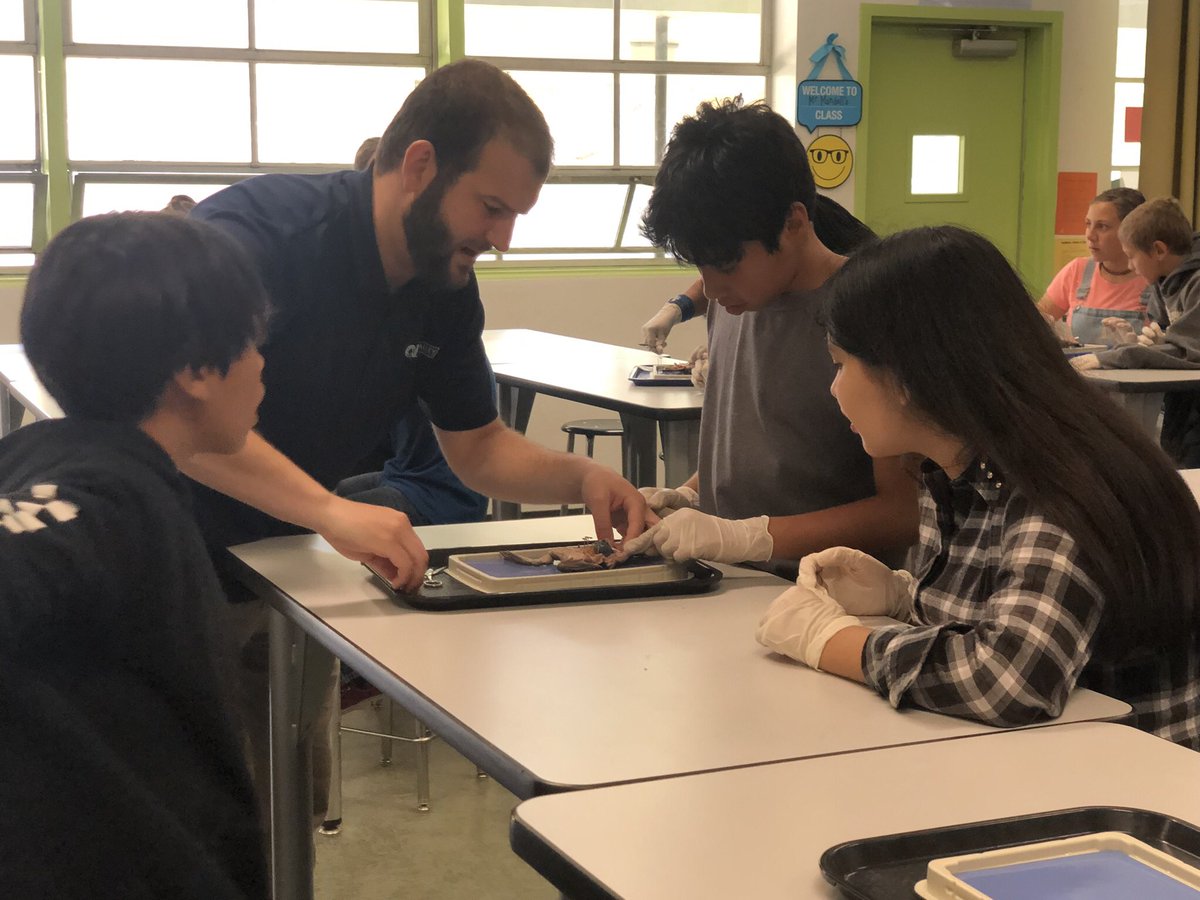 Mr_Mandell's tweet photo. Love what amazing things happened throughout the #6thgradeyear and was so happy to see the growth of these kids! #MandellScience #frogdissections @GreenfieldCVUSD @GThunderbirds https://t.co/D3OxFboVZn
