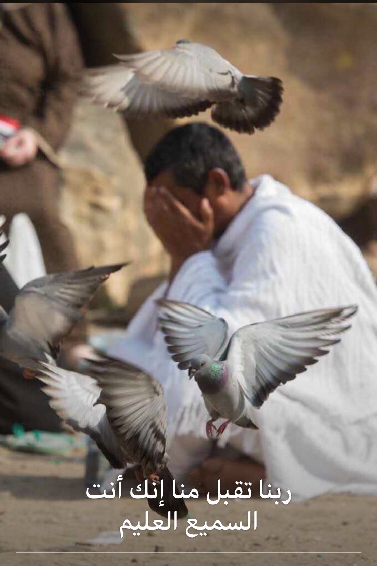 #عيد_الاضحي_المبارك2019