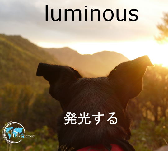 DevelopmentLs's tweet photo. #英単語 #英語の例文

Fireflies have a #luminous body.
蛍は #発光 体を持っています🌟
https://t.co/qdRXXpSpni🇬🇧
#英会話教室 #英会話スクール #オンライン英会話 #英会話 #大人の勉強垢 #英単語帳 #勉強垢 #英語垢 #英語勉強垢 
※英単語は複数の意味を持つことがありこれは一例です。 https://t.co/da84UVlsqi