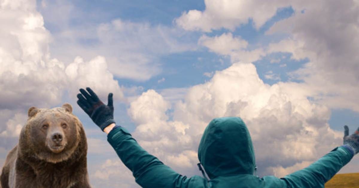 Wildlife Awareness Training in Edmonton, Alberta - Next Class 22 Aug 2019 Book Now: trainingseeker.com/Wildlife-Aware…
#safety #YEG #Alberta