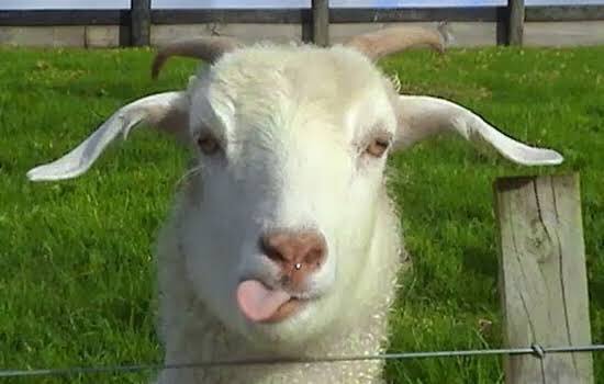 When you know that you will dead but you gotta be cool 🤪