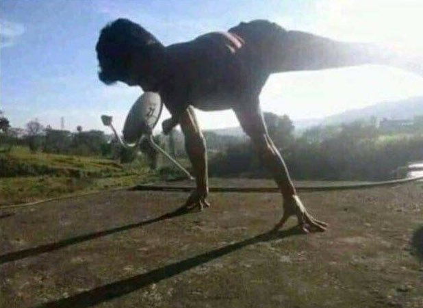_Authorizd's tweet photo. For 5 sec, I thought this was a T-Rex https://t.co/yx8tbW1fcY