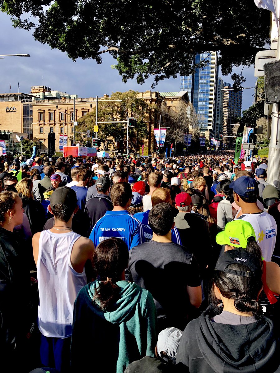 The Avocado team are running for their favourite charities this morning in the #City2Surf  
Go #teamavo 
@GerardoBarranq <a href="/r_c_t/">Rebecca Thomas</a>