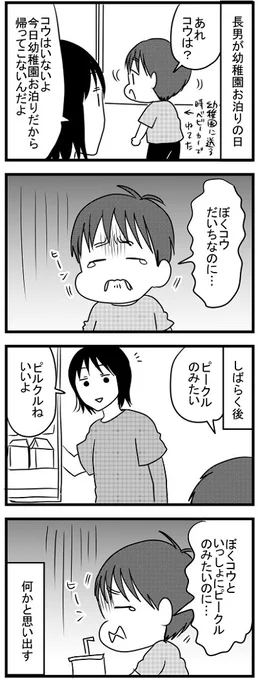 長男が幼稚園お泊りの日  