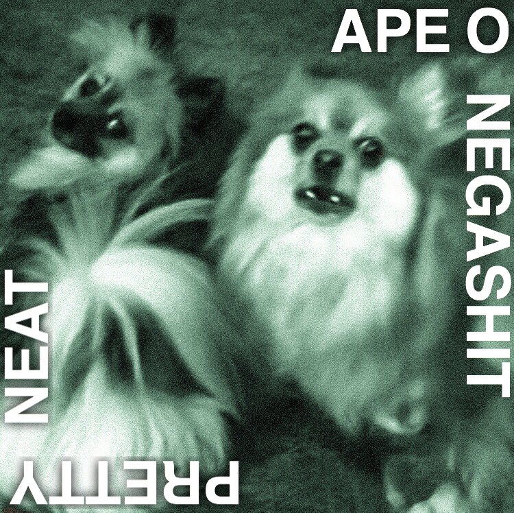 tysunn 0))) tweet media