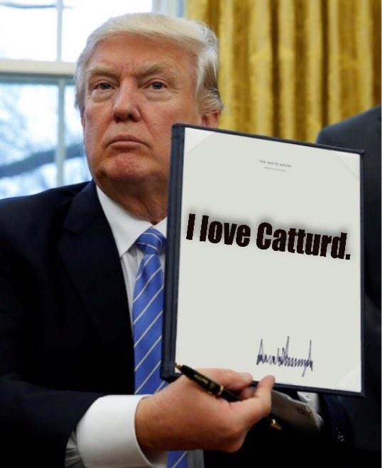 TheRealMAMeyers's tweet photo. Do not forget @catturd2 fans; at 9pm EST, August 10, 2019; a special announcement for our favorite #MAGA cat who talks 💩.  “If you miss it - you’ll be sorry.” - #Catturd https://t.co/hrS90L8yIC