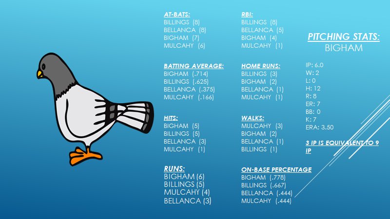 Bigham County Wiffle Ball tweet media