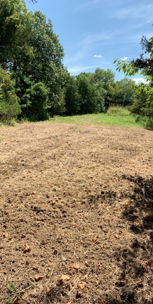 First good plot!!!!! #deerhunting season