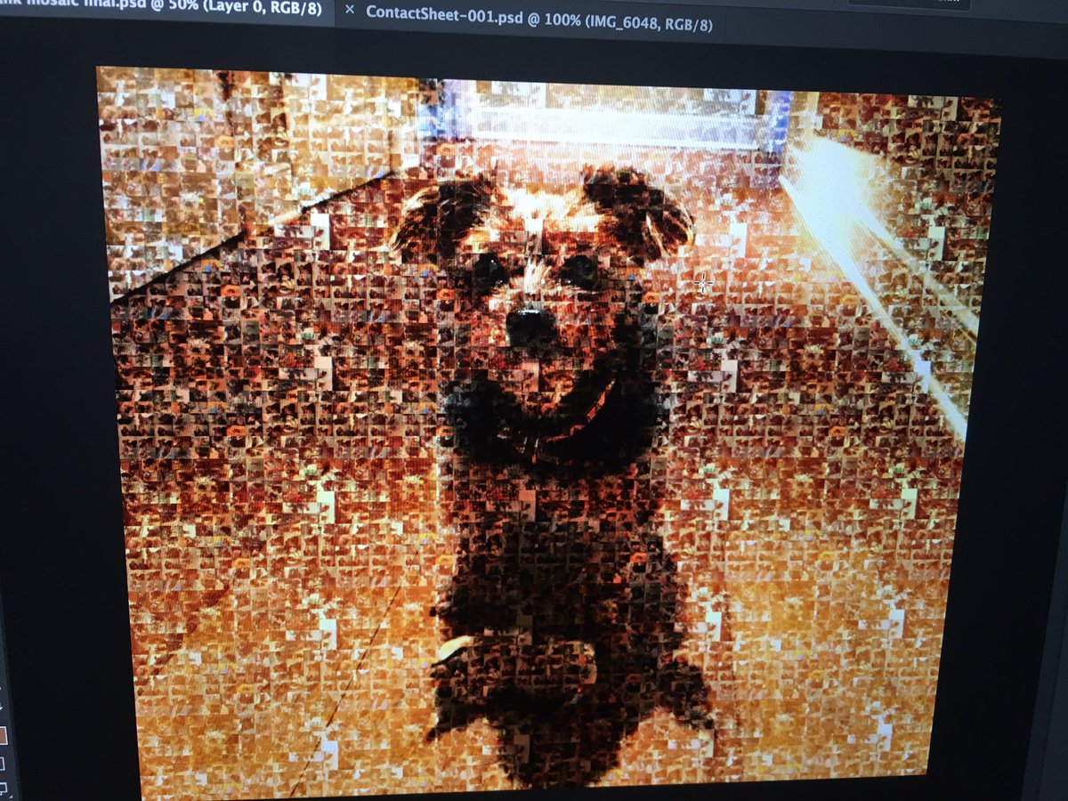 Tank was one of the greats! I will miss her mighty spirit.