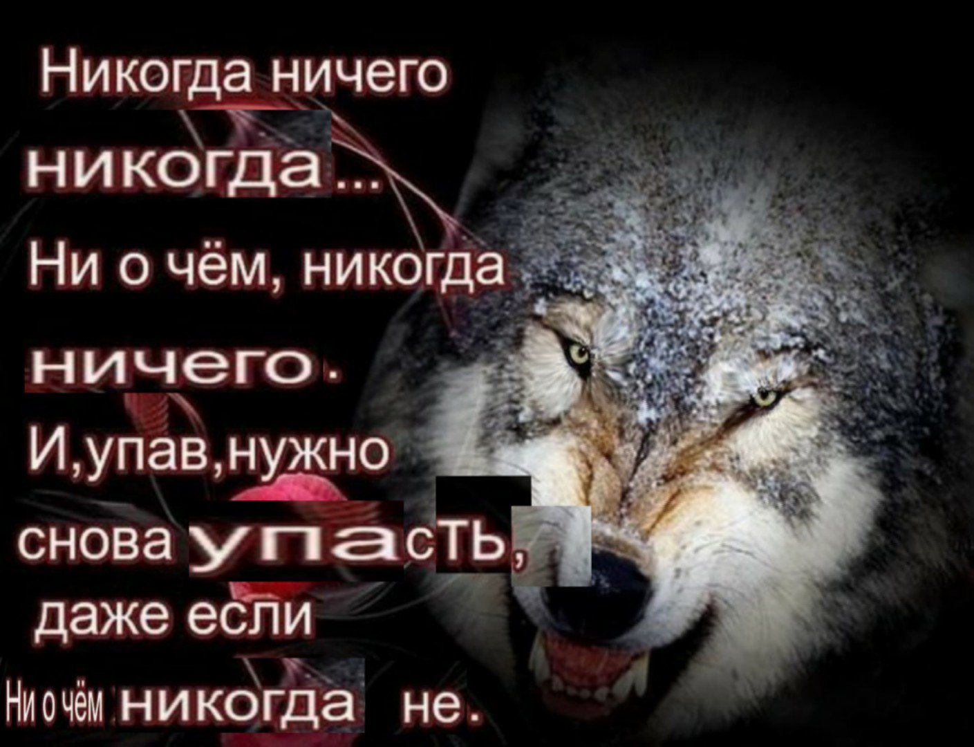 Цитаты про Волков и людей