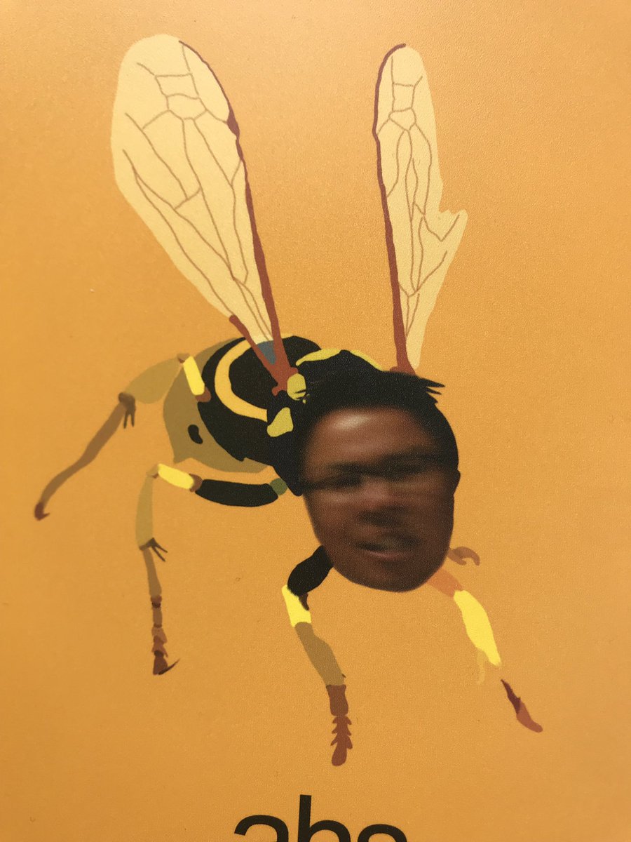 I swore I wouldn’t talk about Alameda High post graduation but this is the planner this year and I can’t stop laughing