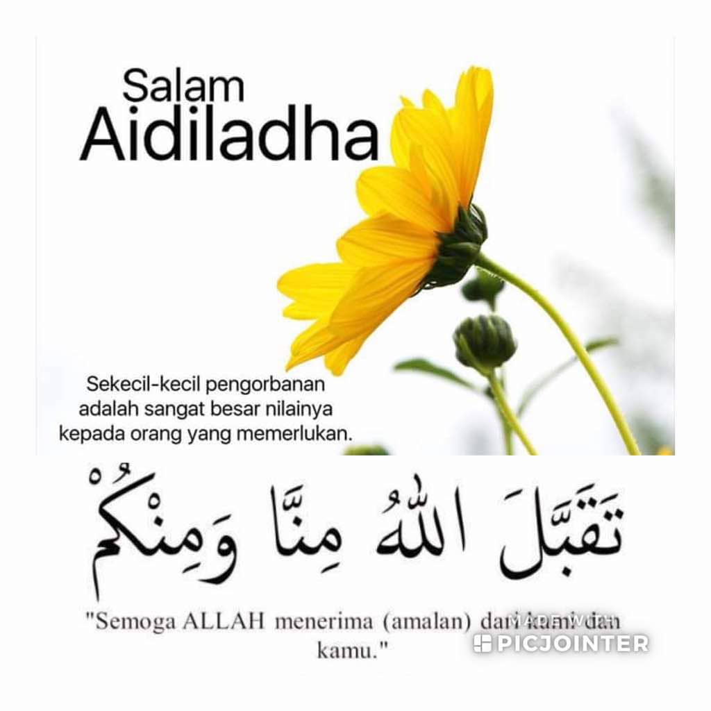 Mohd Sani Majid (@abgsann) on Twitter photo 