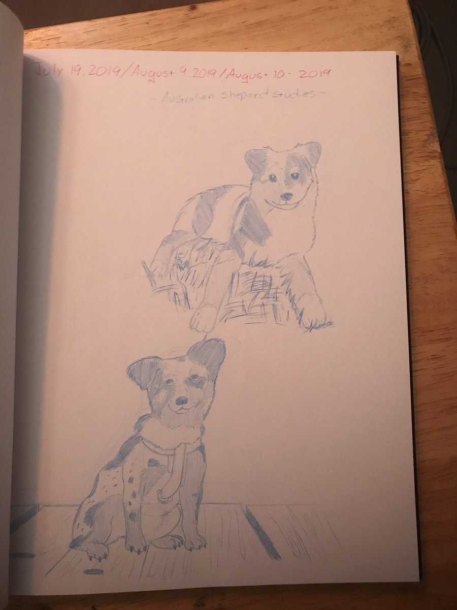 CrystalboltArt's tweet photo. Here are my Australian Shepard studies for my animation. Hope you enjoy!! 🥰
.
.
.
#artistsontwitter #art #traditionalartwork #rendrsketchbook #austrailianshepherd #sketch #doodles #dogstudy https://t.co/AAWNHOnR9g