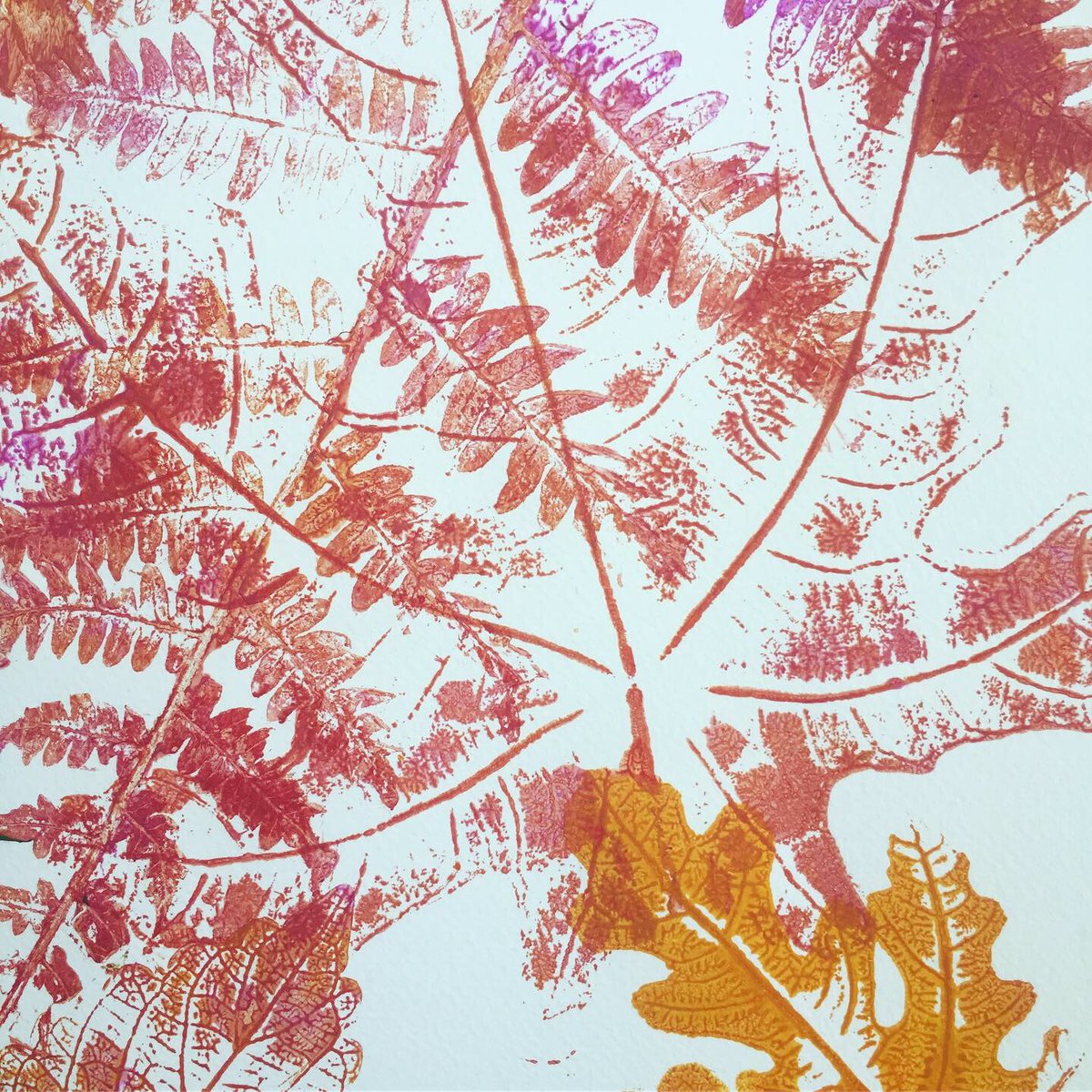 hesselberth's tweet photo. Road testing another art project so kids can study patterns in nature. #pitterpattern #kindergartenclassroom #kindergartenteacher #picturebooks #leafprint #prekindergarten #elementaryteacher #artteachersoftwitter #artteacher #patternsinnature https://t.co/0RSUTTBUSv