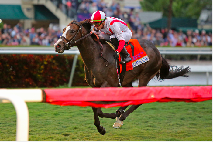 EclipseSports's tweet photo. Can you say #turfking? #Chadbrown wins #2 G1s as #BricksandMortar and #jockey @IradOrtizJr take the 37th running of the @Arlingtonpark @breederscup #WinandyoureIN #Arlingtonmillion! He's headed to the @Longines turf this fall! @HR_Nation @ABRLive 📷:Liz Lamont
📷: Liz Lamont https://t.co/ryf4GFchwQ