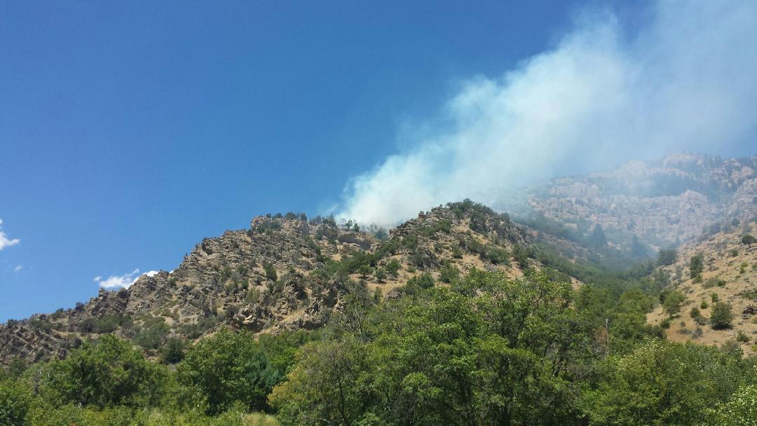 UtahWildfire's tweet photo. #uwcnf #101fire resources 2 engine and 1 helicopter, approx 15 firefighters. Type 3 helicopter continues dropping water to keep the fire from moving downhill. Smoke maybe visible from Cache Valley and Blacksmith Fork at times, please do not report smoke firefighters are on scene https://t.co/LNhtNDjYfJ