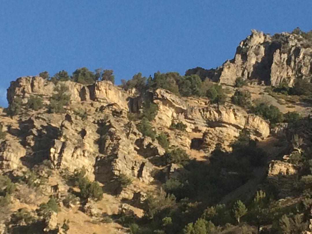 UtahWildfire's tweet photo. #uwcnf #101fire resources 2 engine and 1 helicopter, approx 15 firefighters. Type 3 helicopter continues dropping water to keep the fire from moving downhill. Smoke maybe visible from Cache Valley and Blacksmith Fork at times, please do not report smoke firefighters are on scene https://t.co/LNhtNDjYfJ