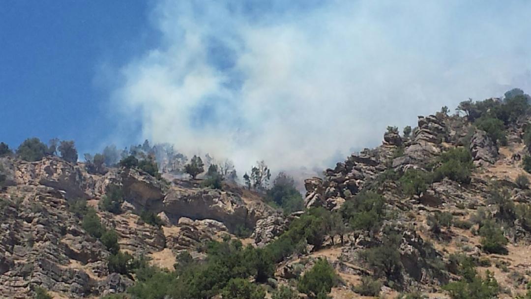 UtahWildfire's tweet photo. #uwcnf #101fire resources 2 engine and 1 helicopter, approx 15 firefighters. Type 3 helicopter continues dropping water to keep the fire from moving downhill. Smoke maybe visible from Cache Valley and Blacksmith Fork at times, please do not report smoke firefighters are on scene https://t.co/LNhtNDjYfJ