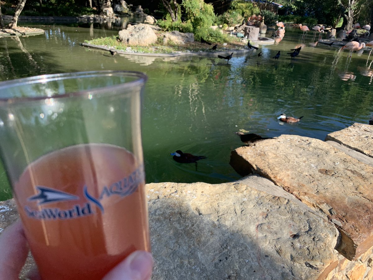 Beth Baisch tweet media