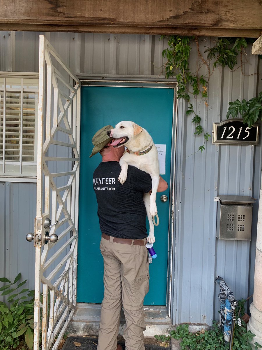 recnac1's tweet photo. This is my bud Blender with one of the incredible volunteers at ⁦@K9AngelsRescue⁩. Who ever said that a Labrador mix can’t be a lapdog?😃Come on out tomorrow and meet Blender and all the other sweet and loving doggies who need a fur-ever home. https://t.co/dNQFWECE9K