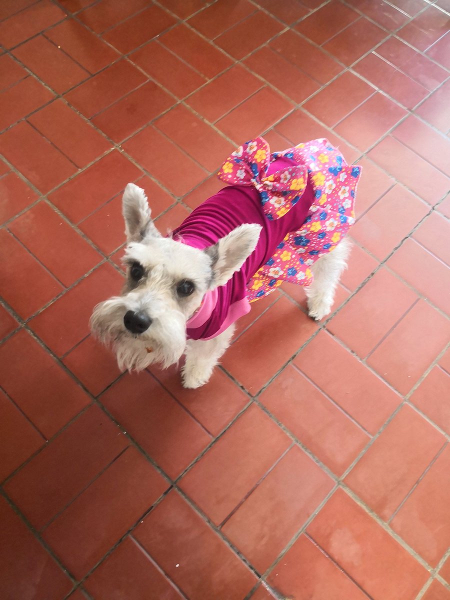 Mont_Sheri's tweet photo. Traigo mis manos así // para que ella vista así https://t.co/YXJEZ86rR1