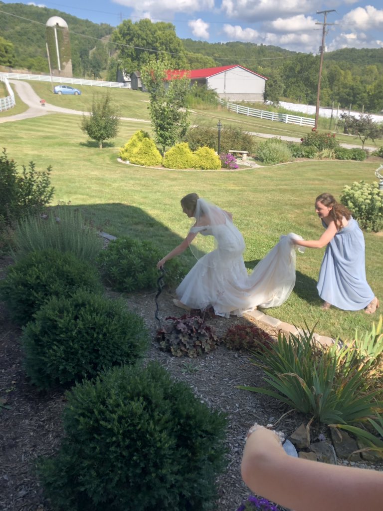 ToadallyPriya's tweet photo. Posting the bride pics of #BAWIS @sdbailey15 again because I canβt tell if they went through
The ultimate in #DressHerping https://t.co/4S84CRxZjA
