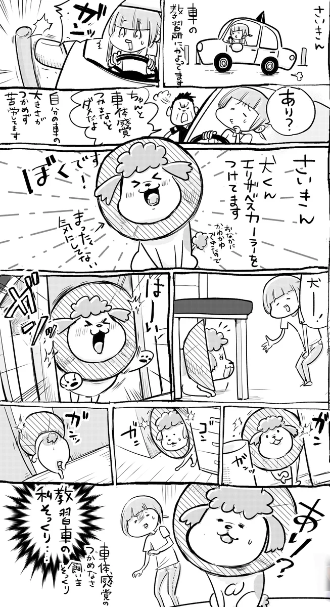 運転って性格出るよねww犬と猫ではこうも違うらしいww