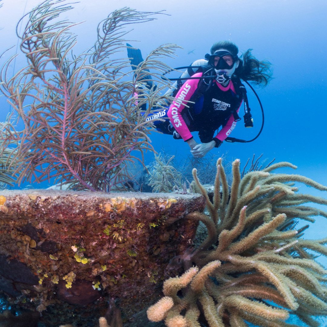 StuartCoveDive's tweet photo. Get Wrecked this weekend on any of our 20+ wreck sites!ππ¦
#wreckdive
#bahamas
#scuba
#divestuartcoves
#nassau
#holiday
#adventure https://t.co/u4uU49XI8k