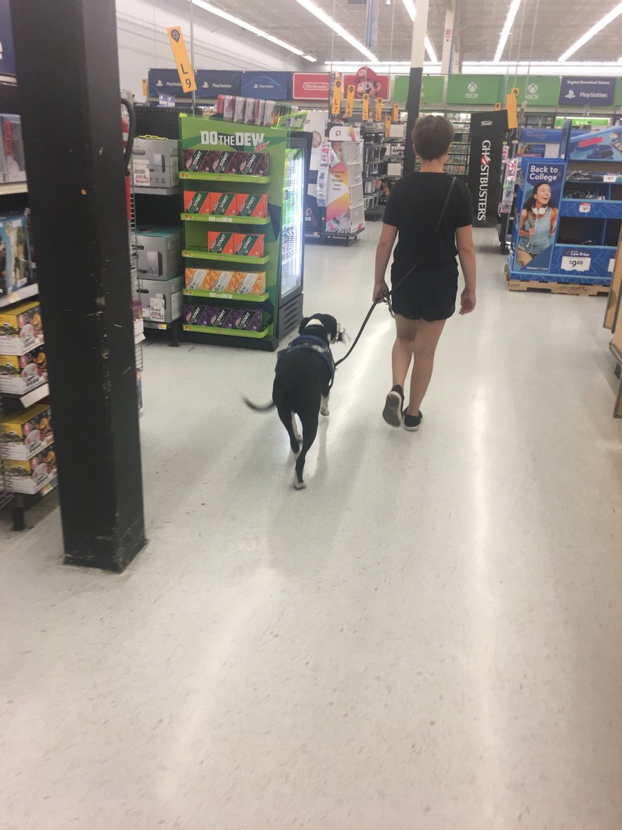 TessaJAnderson's tweet photo. @imdoingwhatican we heisted your doggo 🥰🐾 https://t.co/3eQBtJ61PN