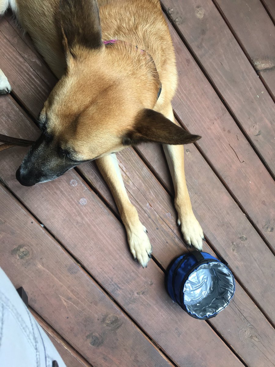 TessaJAnderson's tweet photo. Patio day was Friday... today 😢 rain https://t.co/OXid0bTIkB