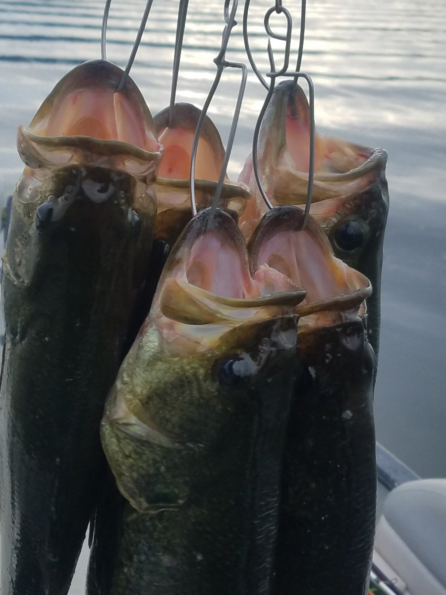 BlazeFishing's tweet photo. Sam and Casey finished in 5th place today at the TBF Student Angler State Championships in Red Wing! Great work, boys! This will likely land them an invite to the National Championship! https://t.co/NTdTHl02N2