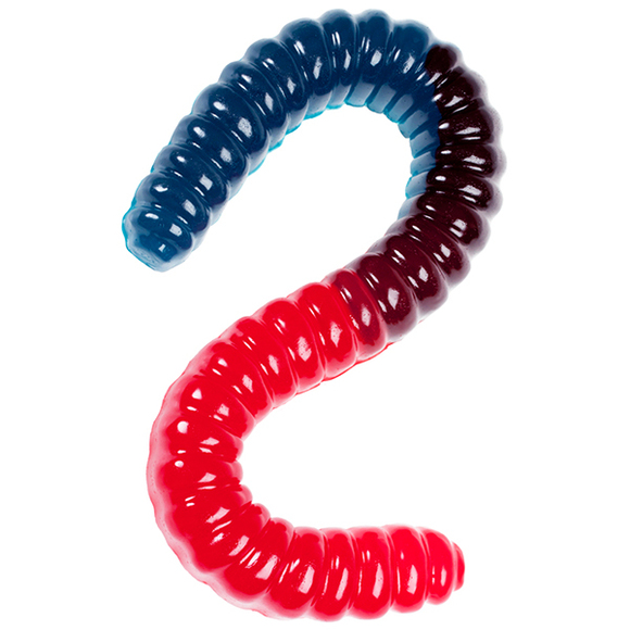 coin. those giant gummy worms would look great in my asshole. 