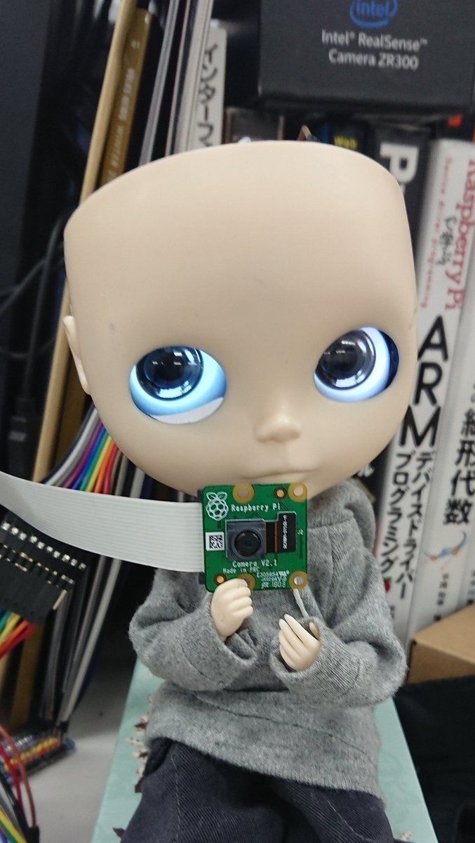alice_robotic's tweet image. 手に持っているのは普段は頭に搭載しているRaspberryPiカメラモジュールV2.1
V2.1は小型で軽量・レンズも広角で、頭部で顔検出するのにちょうど良いです
画像処理や顔検出は重いので別プロセスで並列処理しています
#RoboticAlice #Blythe #doll