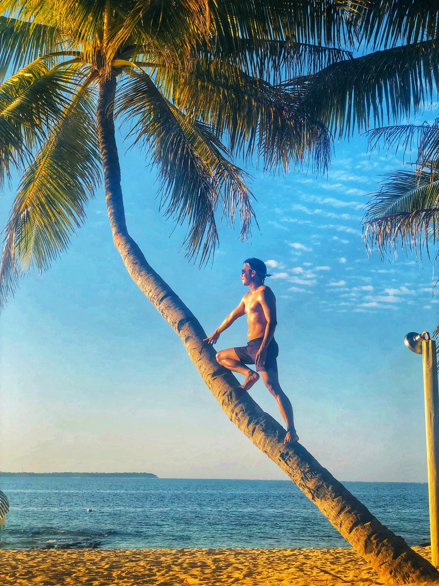 iam_kenito's tweet photo. Be Brave. Take Risks. Believe in yourself. π΄πβοΈ #goodmorning #siargao #siargoals https://t.co/NqYQsLcnoI
