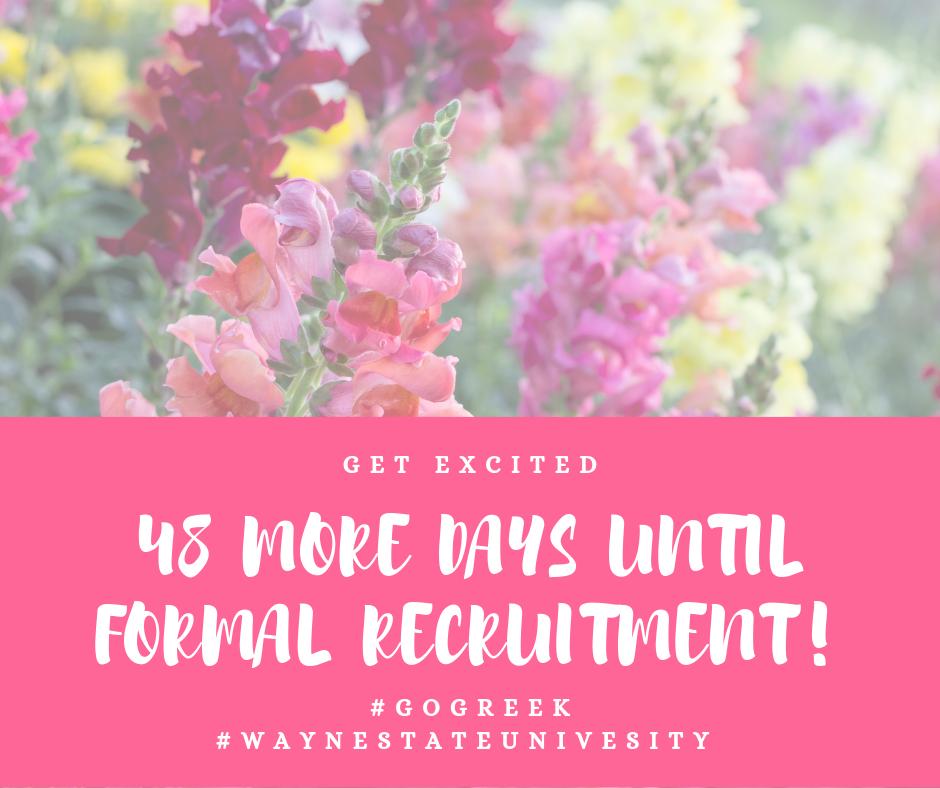 #GetExcited #FormalRecruitment2019 #WayneStateUniversity #GirlGang #GirlPower