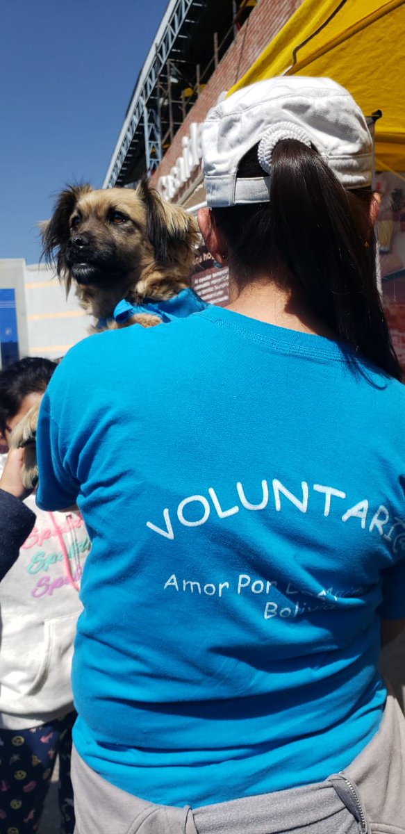 Aplabolivia's tweet photo. Hoy estuvimos en el Festival de la mascota. Gracias al ketal ! https://t.co/WDVRA2fkjF