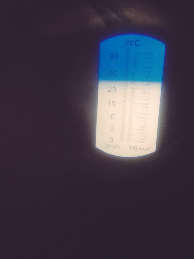 ViticulturaMh's tweet photo. Tic Toc! La hora llego la #vendimiapuebla2019 es inminente a partir del próximo miércoles estas hermosas uvas darán vida al #vinopoblano, empezando por los rosados, posteriormente con Nobilis y los Preludios ! Habemus Vinum! @lacampinaweb @JCarlos_Valerio @OroNoticiasPue https://t.co/0MCXYtzYjs