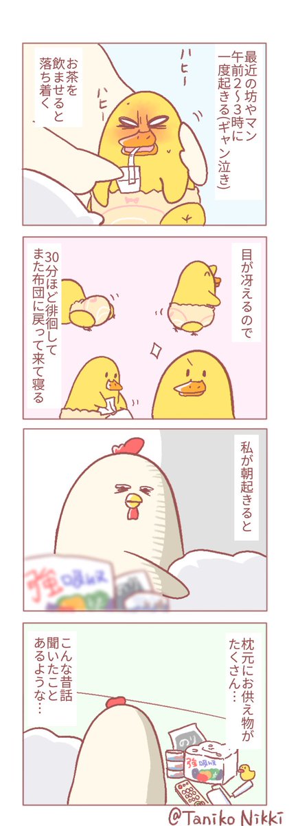 夜中に起きる坊やマンと
枕元のお供え物のお話です。

#鶏さんの絵日記 