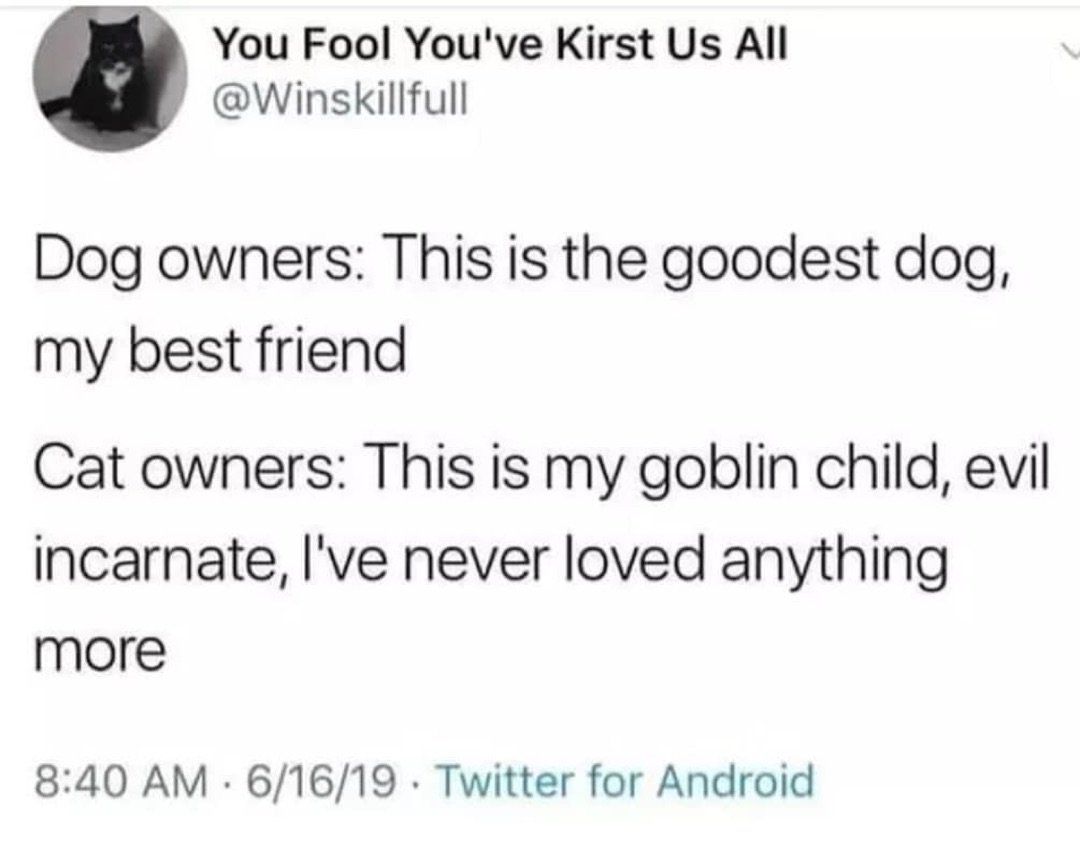 emptyfacesinc's tweet photo. If this isn't the most accurate thing... 😼

#Repost: @Winskillfull https://t.co/myZ05YyoEr