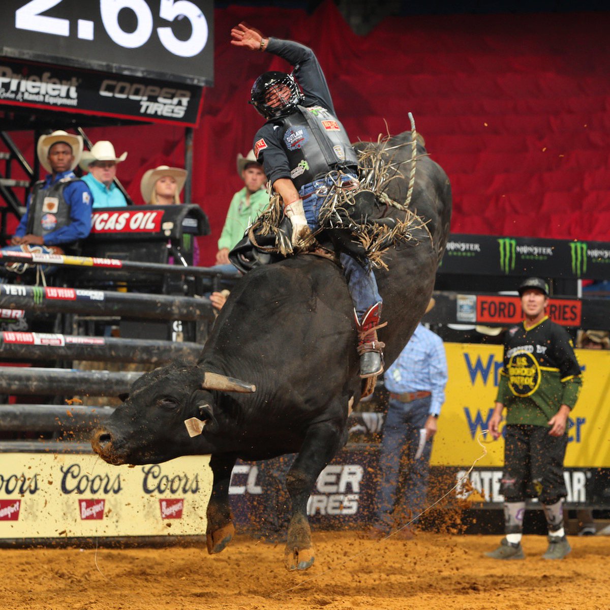 AmericanBuckingBull tweet media