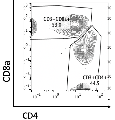 melissa_m_wolf's tweet photo. There's nothing quite like the satisfaction of distinct lymphocyte populations. #TumorMicroenvironment #RathmellLab https://t.co/LsXuLmvg77