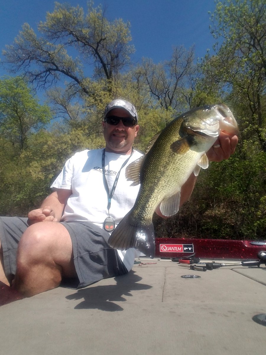 dcbigbass's tweet photo. Big girls are biting!
#teamquantum #quantumpt https://t.co/M1D7wYx5ce